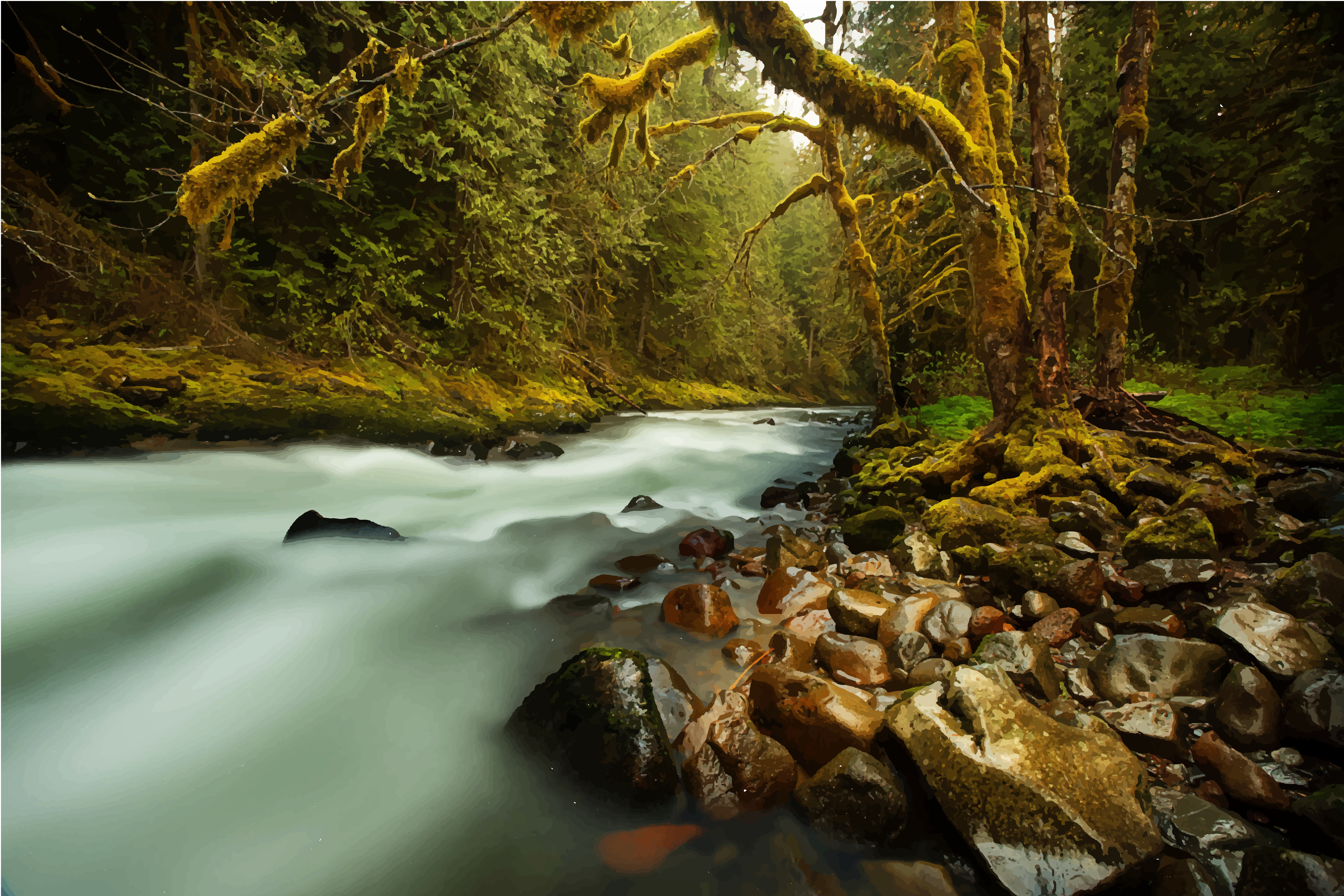 Creek. Живая природа. Бурная река в лесу. Пейзаж деревья лес ручей. Бурная Лесная река.