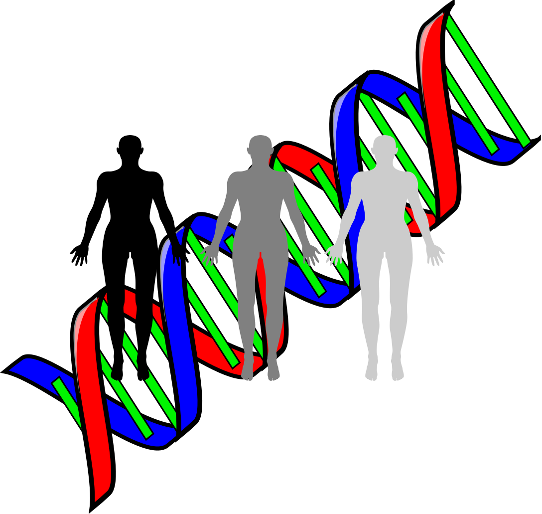 Human DNA Cloning Clip Art Image - ClipSafari