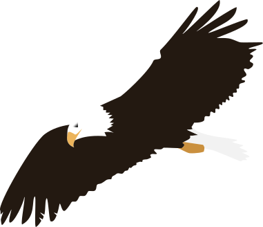 Bald Eagle Flying Clip Art Image - ClipSafari
